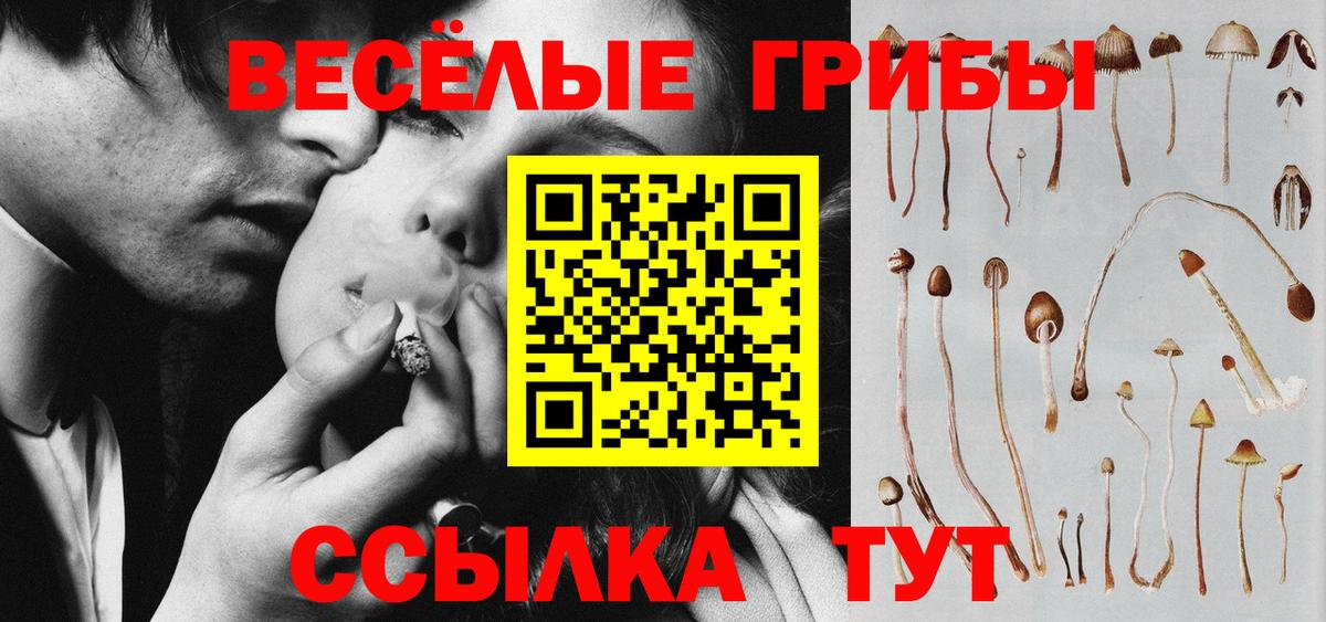 Галлюциногенные грибы GOLDEN TEACHER  Вход с VPN  Уварово  Псилоцибиновые грибы мицелий 